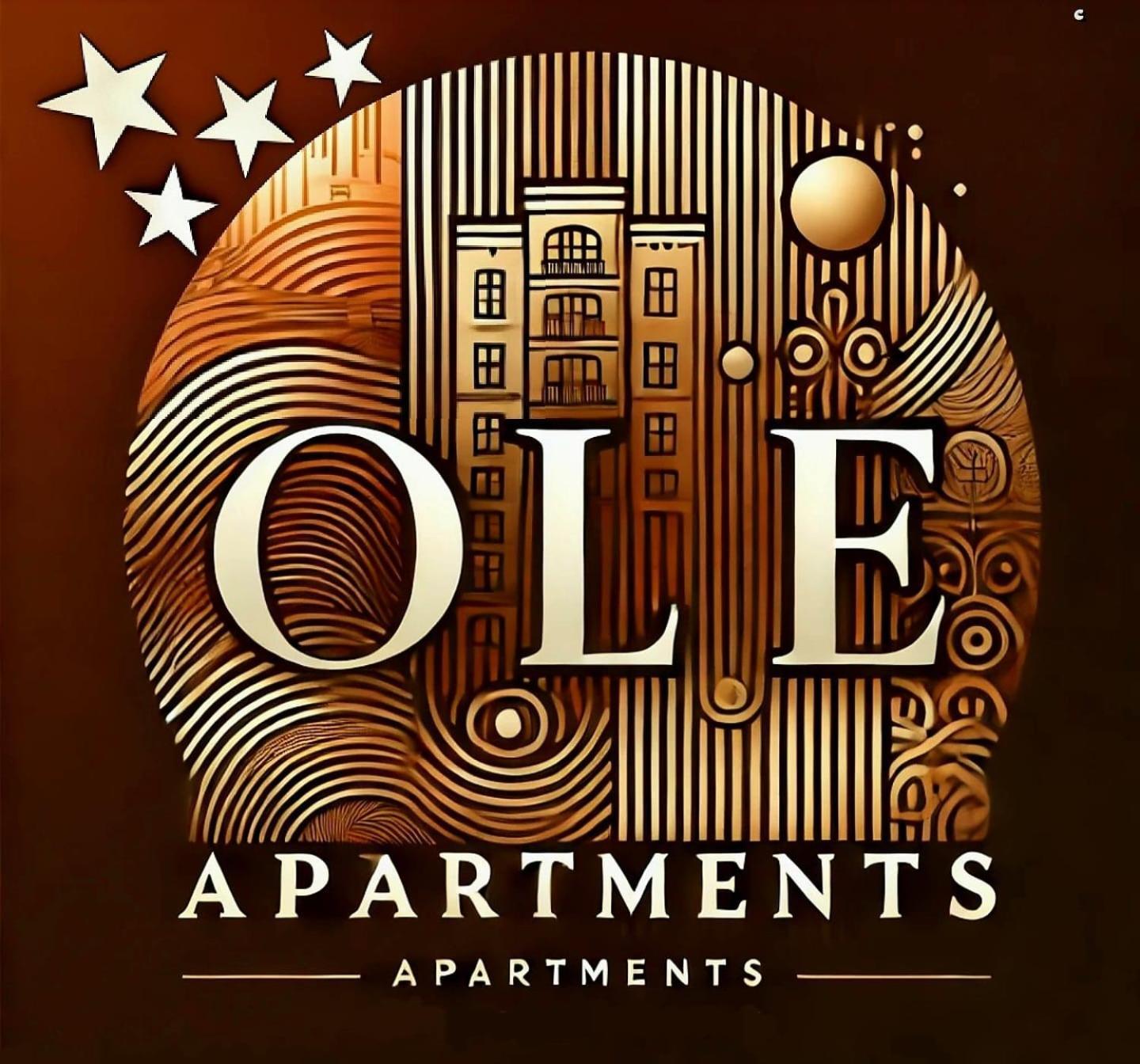 Ole Apartment - Get Your Energy For Free! Coffee And Tea On The House Timişoara Eksteriør bilde